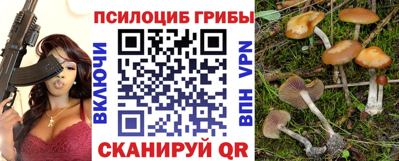 Псилоцибиновые грибы ЛСД  сколько стоит  Заозёрный 